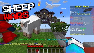 Sheep Wars Minecraft Hypixel by minecraftchoc 70 views 1 month ago 43 minutes