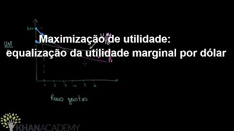 Como calcular a maximização da utilidade?
