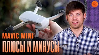 3 месяца с MAVIC Mini | Опыт эксплуатации от Саши Ляпоты