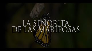 La Senorita de las Mariposas - secondo trailer
Se vuoi mostrare il tuo apprezzamento, puoi offrire un caffè oppure fare una donazione per il canale :)
Ko-fi: https://ko-fi.com/zelcor
Donazioni: paypal.me/zelcor
CANALE SPREAKER: https://www.spreaker.com/user/14981172
PAGINA FACEBOOK: https://www.facebook.com/creepyzelcor
Storia - Zelcor
Voce Narrante -
ROSANNA LIA, https://www.youtube.com/channel/UCiyBkmHwkSoleMad70bq4SA
Musica,
Z3R0 COPYRIGHT FREE MUSIC, https://www.youtube.com/channel/UCD2iUVkyqfuAFvqpdWweTkw La Senorita de las Mariposas - secondo trailer