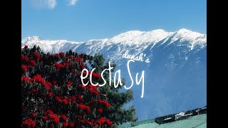 Ecstasy