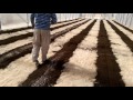 خدمة وتجهيز البيوت المحمية للزراعة Service of greenhouses