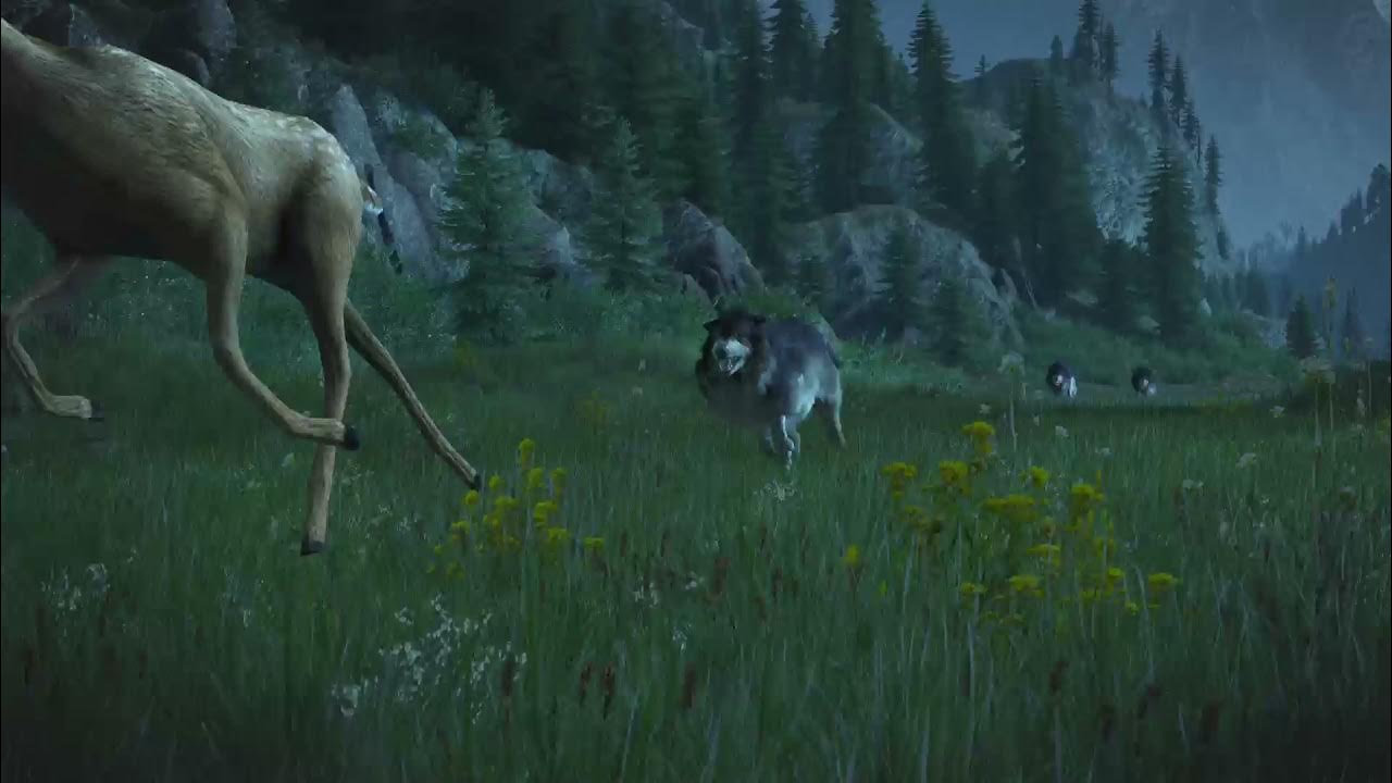 The Witcher 3 Wild Hunt (Sex scenes) Continuo.... YouTube
