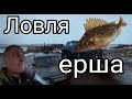 Ловля уникальной рыбы.