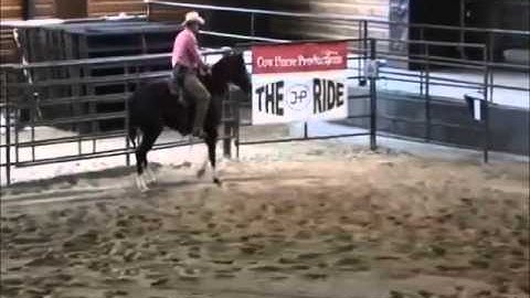 Blue Allen tips for Introducing your cow horse to the flag