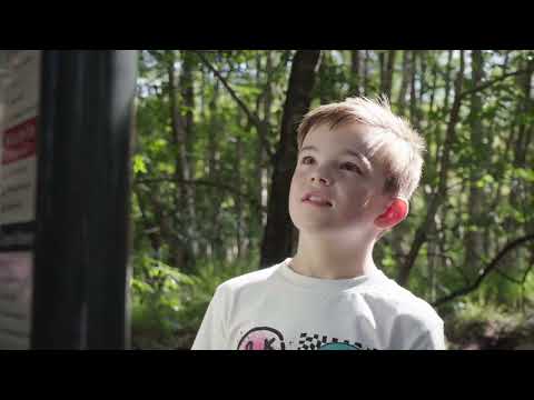 Aktiv-Pfad Provinzialmoor