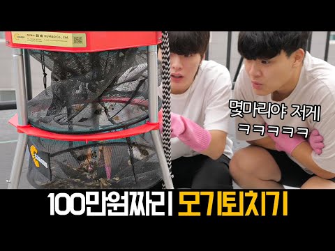 100만원짜리 초강력 모기 잡아주는 기계를 흑우했습니다