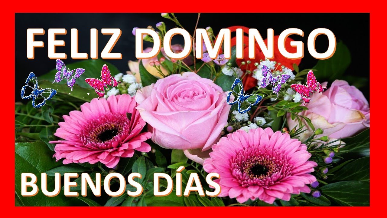 💥✨ BUENOS DÍAS FELIZ DOMINGO IMÁGENES DE FELIZ DOMINGO ✨💥 - thptnganamst.edu.vn