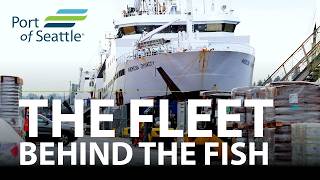 The Fleet Behind the Fish