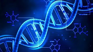 DOCUMENTÁRIO - DNA: O Preço da Evolução - Ep 1