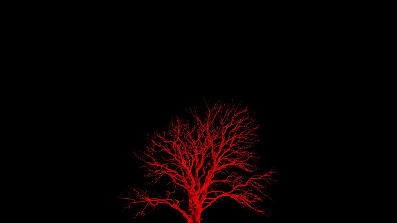 Tree 666
