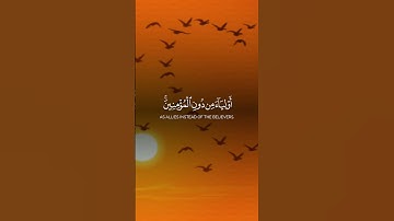 افضل تلاوة خاشعه قراءن كريم 🌷 افضل قارئ #اكسبلور #لايك #المصحف #تيك_توك