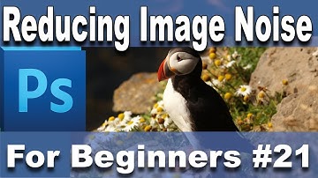 Photoshop Tutorial - Reducing Image Noise part 21