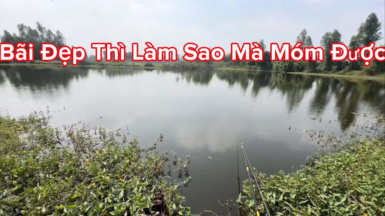 Câu Cá Thiên Nhiên Ở Hầm Đất Lâu Năm. Truy Tìm Hàng Khủng Ngày Đầu Và Cái Kếttt
