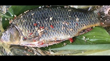 CÁ NƯỚNG MẮC KHÉN NGON ĐÚNG CHUẨN TÂY BẮC (Mộc Châu) Rừng Thông bản Áng