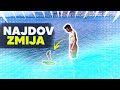 НАЛЕТАВ НА ЗМИЈА ВО ОХРИДСКО ЕЗЕРО?