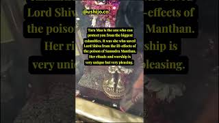 TARA MATA - The tantric manifestation of Devi Parvati 🙏🏻 #consciousness #awakening #abundance