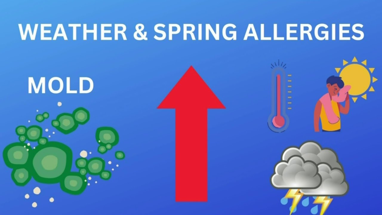 How Michigan weather affects your spring allergies YouTube