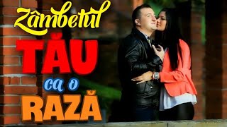 FloRIN Vos - Zambetul tau ca o raza