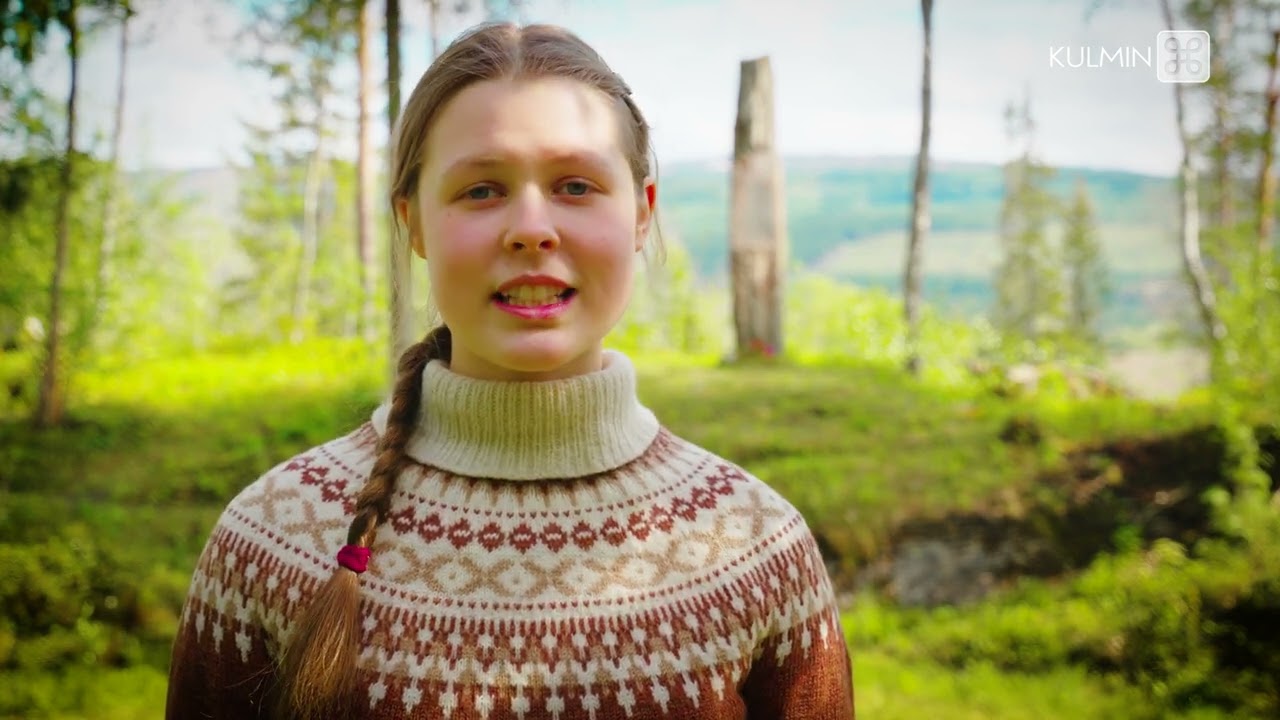 17. mai-steinen i Snåsa