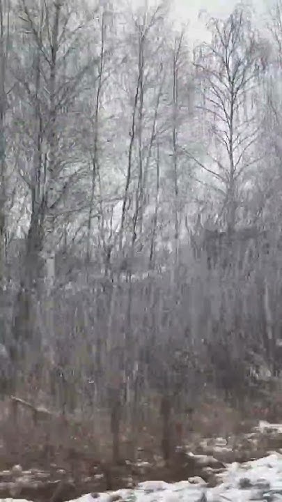 Свалка рядом с дачами. Шикарный вид😂 Волхонка. - YouTube