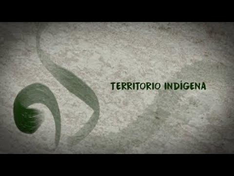Video: Una Mirada A Las Cervecerías Indígenas En América Del Norte