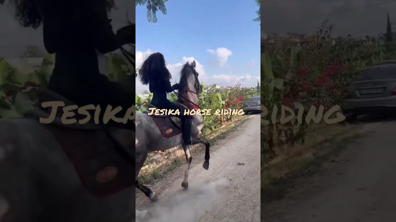 crazy arabian horse riding & controlling by beautiful lady on road 