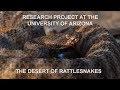 Alexus Cazares speaks about the research on rattlesnakes for Living Zoology