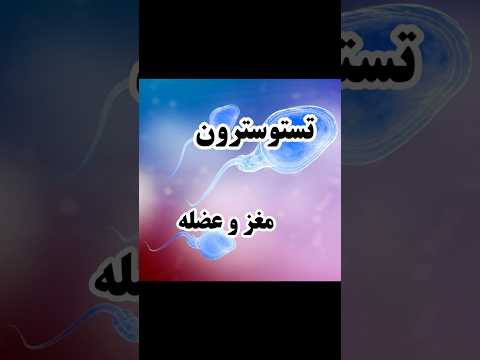 تستوسترون واقعا چیکار می کنه جوابش شوکه ت می کنه