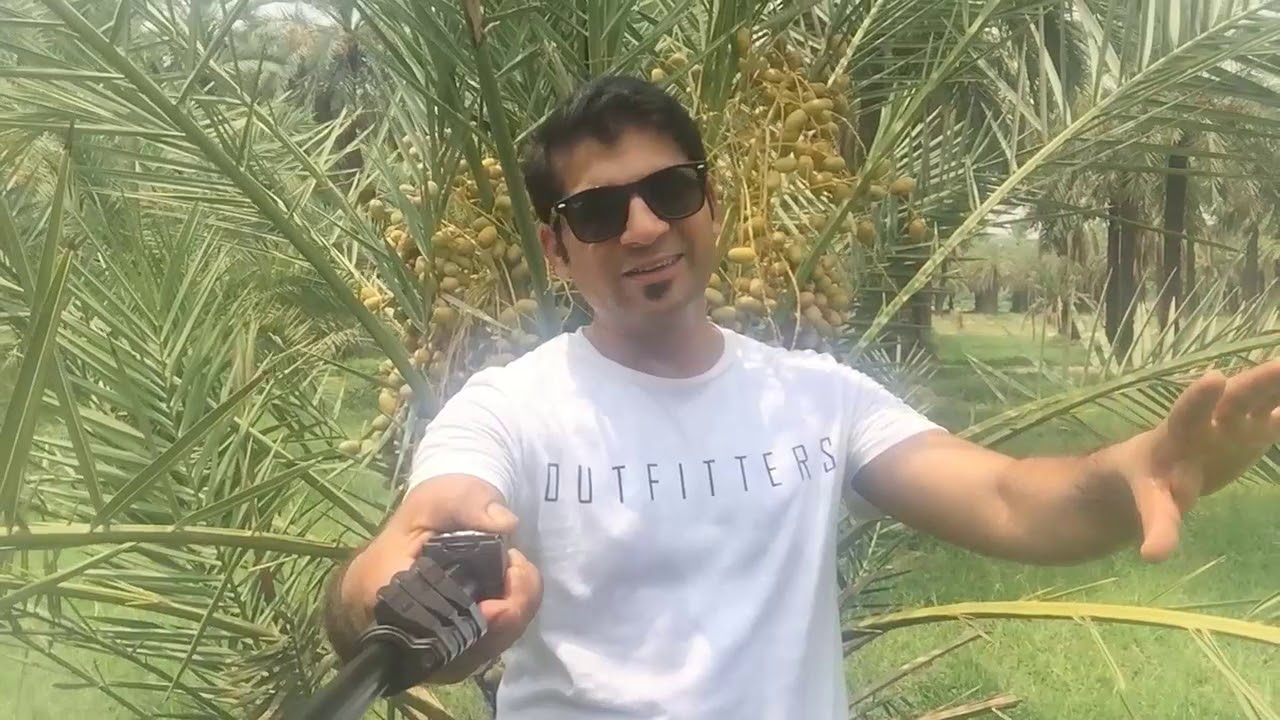 Dates Farm |  Jhang punjab | Pakistan !