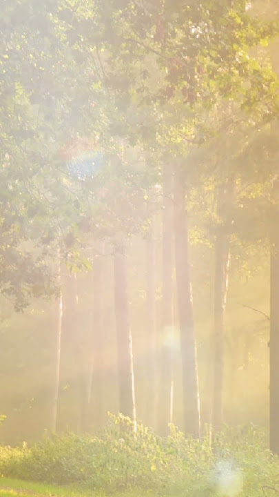 Natural Motivasion & Healing