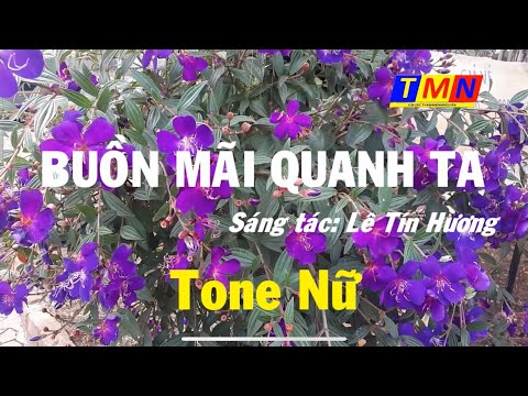 [KARAOKE] Buồn mãi quanh ta (Lê Tín Hương) – Tone Nữ - Cover by TMN