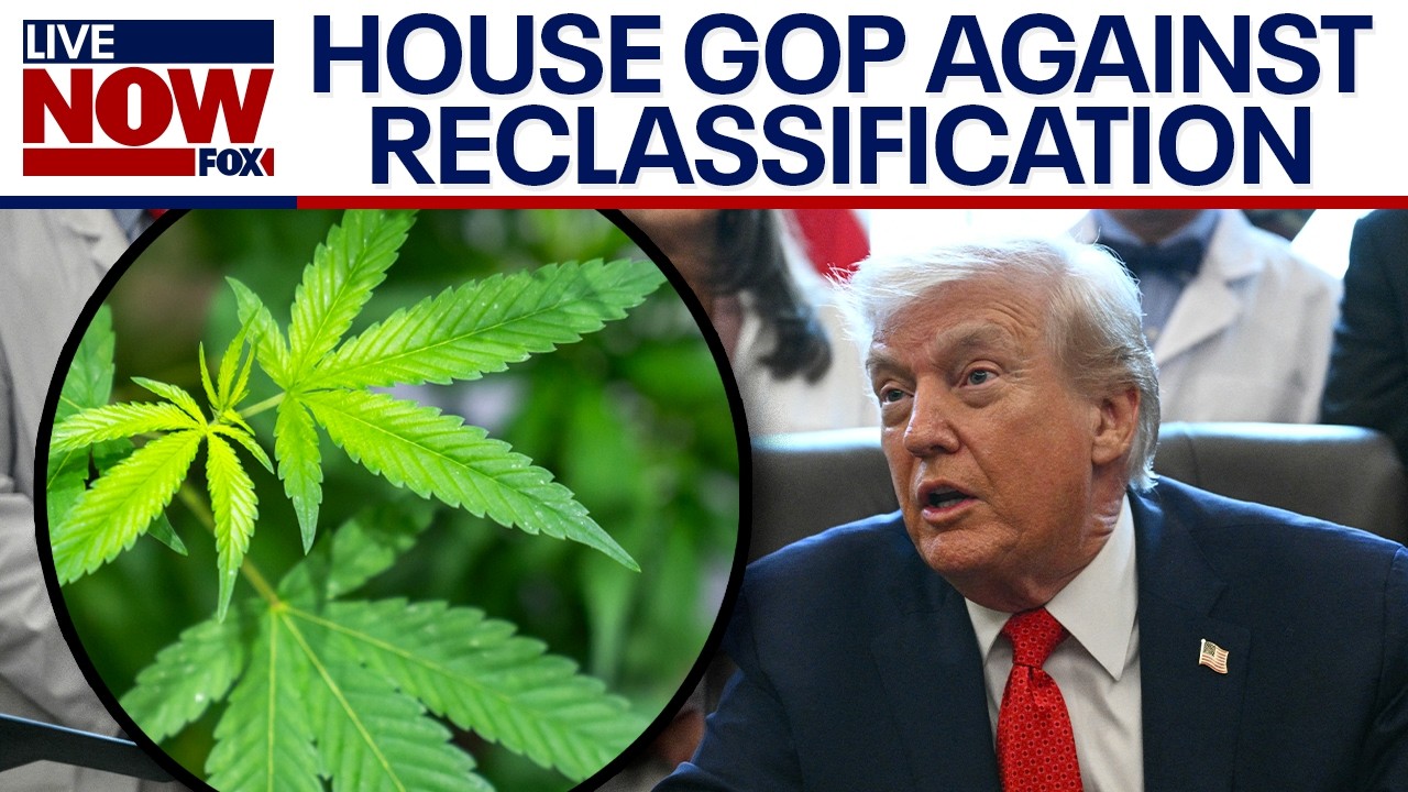 Marijuana reclassification: House GOP pushes back against Trump's executive order