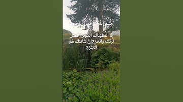 سورة الكوثر يتلوها الشيخ احمد العجمي