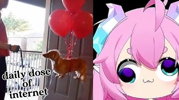 Chibi react | Daily dose of internet