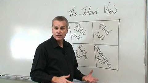 The Johari Window