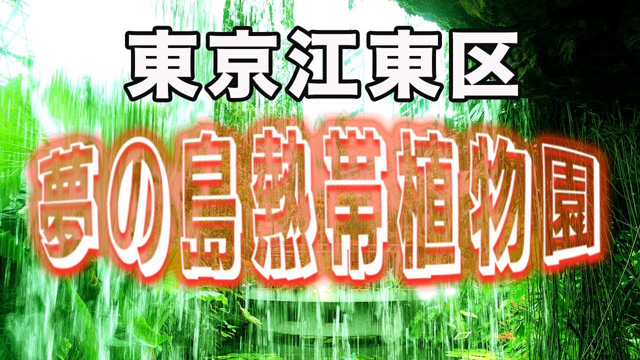 生命力がすごかった...。