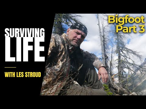 Vídeo: Pesquisado Provou A Realidade Da Existência De Bigfoot - Visão Alternativa