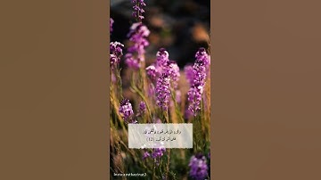 إسلام صبحي ..من سورة القمر 💜