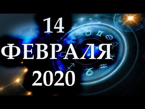 Видео: Гороскоп 14 февраля 2020 года вундеркинд