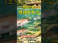 魚にも性格がある？Bold/Shyで“スレる”仕組み