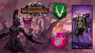 SUMMON THE CHAOS KNIGHTS! Slaanesh vs Wood Elves - Total War Warhammer 3