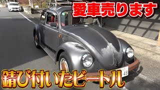 【愛車売ります】炎上覚悟です・・・あんなに大事にすると言っていたワーゲンを売ってしまいます・・・