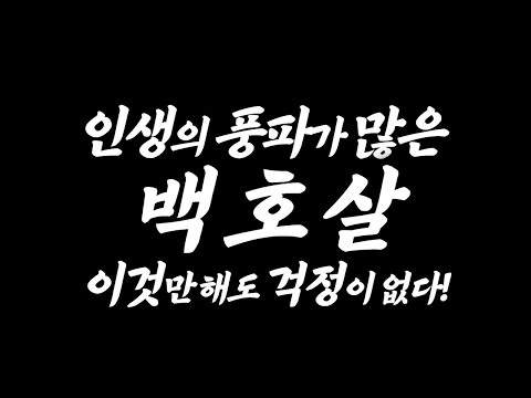 인생의 모진 풍파가 많고, 팔자를 쎄게 만드는 <strong>백호살</strong> 이렇게만 풀면 문제없다!! / 시대의대만신들 신퇴마록