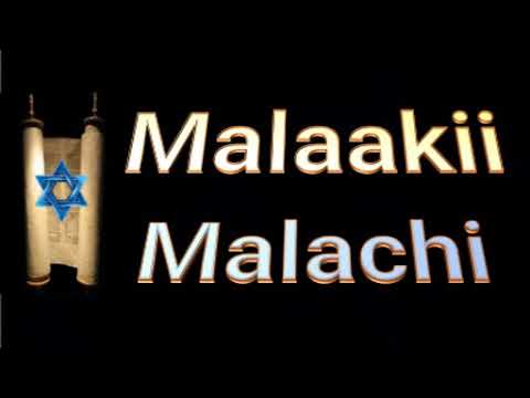 39.  Malaakii … Malachi....  Somalia