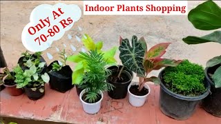 Garden Plants Shopping With Names And Price || Alocasia, syngonium, indoorplants#GardenShopping