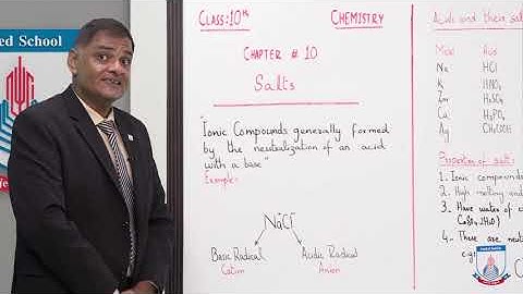 Class 10 - Chemistry - Chapter 10 - Lecture 9 Salts & Preparations of Salts - Allied Schools