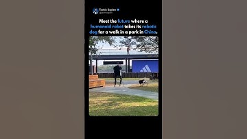 Next-Level Robotics: Humanoid Walks Robotic Dog in Public