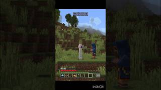 2d aventures - encountering the unknown #minecraft #naofloppa #minecraftshorts