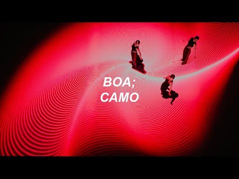 camo // boa (traducida al español)